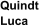 Quindt Luca